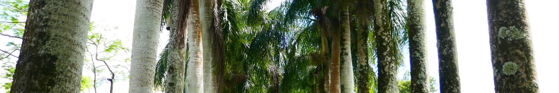 Botanischer Garten